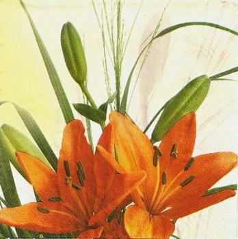s9617 - Lilienzauber - orange - Napkins - Package - 20 pcs.