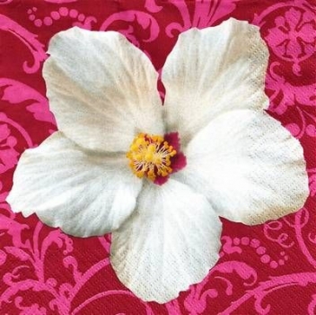 s9638 - Hibiscus - pink - Napkins - Package - 20 pcs.