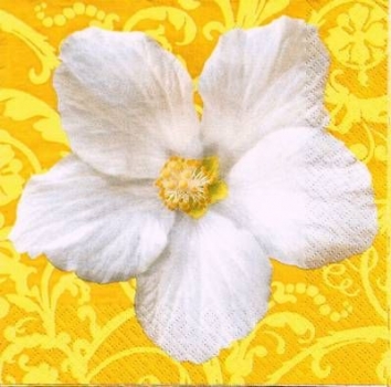 s9639 - Hibiscus - gelb - Napkins - Package - 20 pcs.