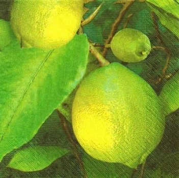 s9662 - Green Limon - Servietten - Packung - 20 Stück