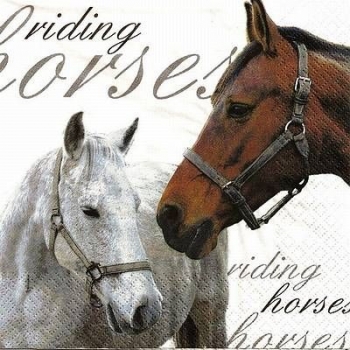s9675 - Riding Horses - Servietten - Packung - 20 Stück