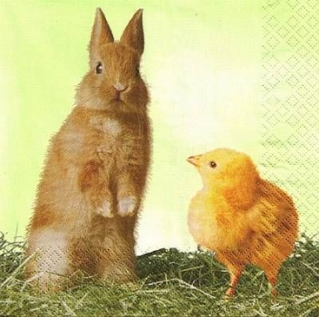 s9678 - Easter Duo - Servietten - Packung - 20 Stück