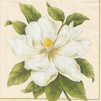 s9732 – Weiße Blüte – Servietten – 33 x 33 cm - Packung – 20 Stück