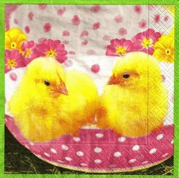 s9742 - Sweet Chicks - Servietten - Packung - 20 Stück