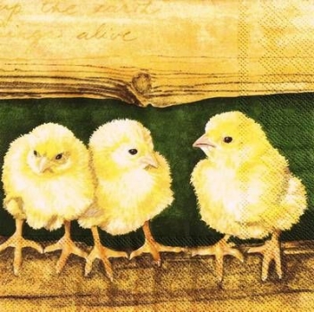 s9753 - Pullets - green - Napkins - Package - 20 pcs.