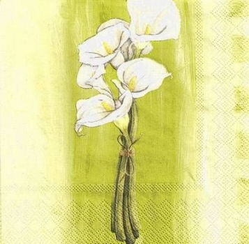 s9768 - Bound of Callas - green - Servietten - Packung - 20 Stück
