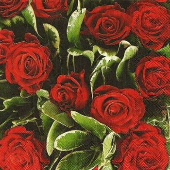 s9833 - Red Roses - Servietten - Packung - 20 Stück