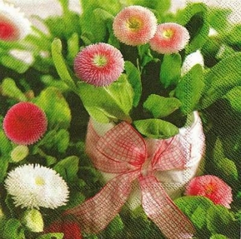 s9835 - Bellis - Servietten - Packung - 20 Stück