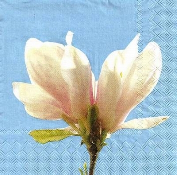 s9840 - Magnolia - Napkins - Package - 20 pcs..