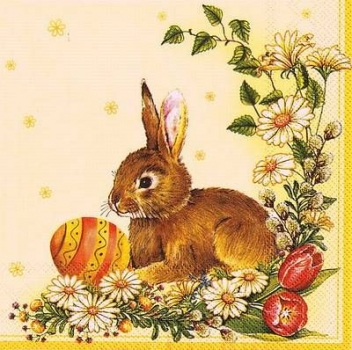s9849 -  Osterhase - Servietten - Packung - 20 Stück