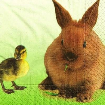s9879 - Animal Farm - Servietten - Packung - 20 Stück
