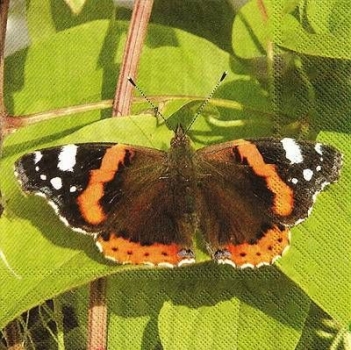s9897 - Schmetterling - Napkins - Package - 20 pcs.