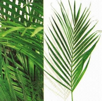 s9911 - Palm Leaves - Servietten - Packung - 20 Stück