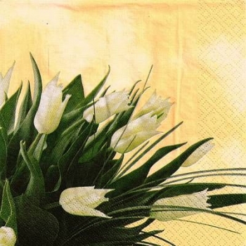 s9923 - Classic Tulips - cream - Servietten - Packung - 20 Stück.