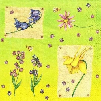 s9939 – Frühlingsblumen - Servietten - Packung - 40 Stück