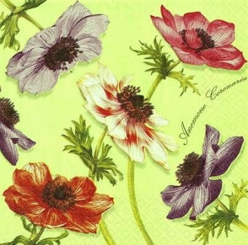 s9z10007 – Blumen – Servietten – 33 x 33 cm - Packung – 20 Stück