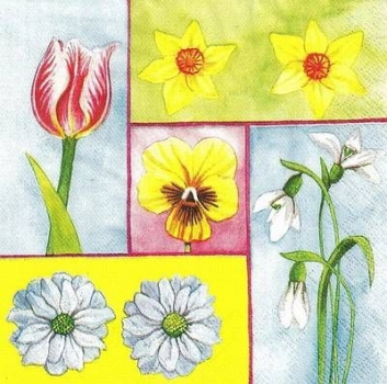s9z10012 - Frühlingserwachen - Serviette - Stückpreis