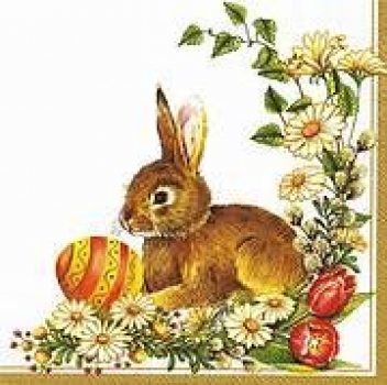 s9z10059 - Osterhase mit Eiern - Servietten - Packung - 20 Stück