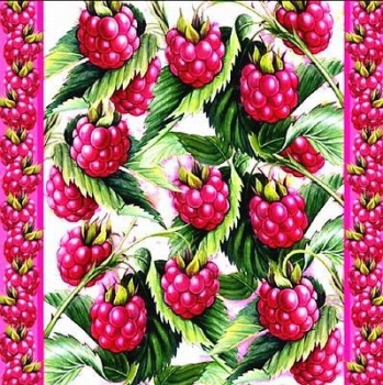 s9z10189 - Himbeeren - Servietten - Packung - 20 Stück