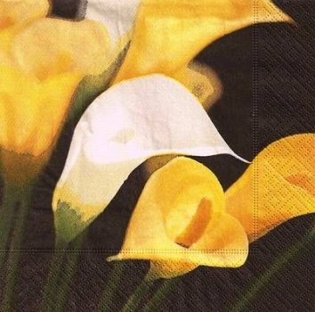 s9z10197 - Fresh Callas - Servietten - Packung - 20 Stück.
