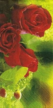 s9z10226 - My Love for you - Buffet - 16er-Paket