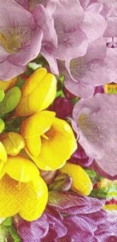 s9z10233 - Freesia - Buffet - 16er-Paket