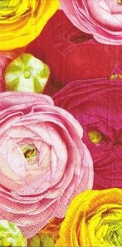 s9z10234 - Ranunculus - Buffet - Servietten - Packung - 16 Stück