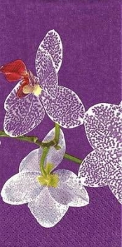 s9z10235 - Phaleanopsis lilac - Buffet - Servietten - Packung - 16 Stück
