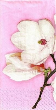 s9z10242 - White Magnolia pink - Buffet - Servietten - Packung - 16 Stück