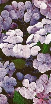 s9z10246 - Hydrangea - Buffet - Servietten - Packung - 16 Stück