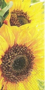 s9z10257 - Sunny Day  - Buffet - Servietten - Packung - 16 Stück