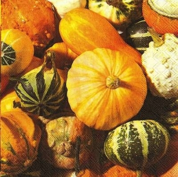 s9z10275 - Fall Fruits - Servietten - Packung - 20 Stück