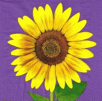 s9z10280 - Sunflower - Servietten - Packung - 20 Stück
