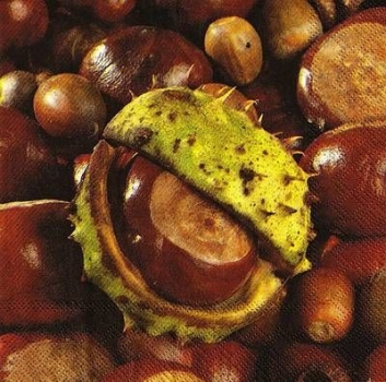 s9z10315 - Chestnut - Napkins - Package - 20 pcs.