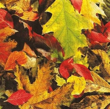 s9z10316 - Fall Leaves - Napkins - Package - 20 pcs.