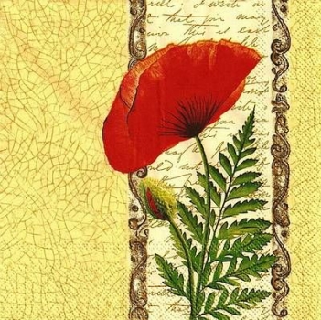 s9z10354 – Klatschmohn – cream – Servietten – Packung – 20 Stück
