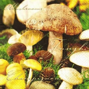s9z10587 - Some Mushrooms - Servietten - Packung - 20 Stück