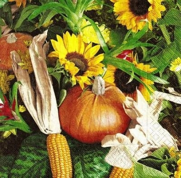 s9z10601 - Autumn Mix - Servietten - Packung - 20 Stück