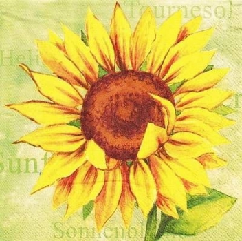 s9z10723 - Sonnenblume - Servietten - Packung - 40 Stück