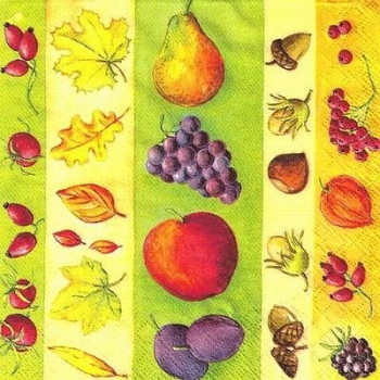 s9z10727 – Herbstfrüchte 1 - Servietten - Packung - 40 Stück