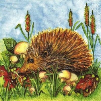 s9z10730 - Igel - Napkins - Package - 40 pcs.