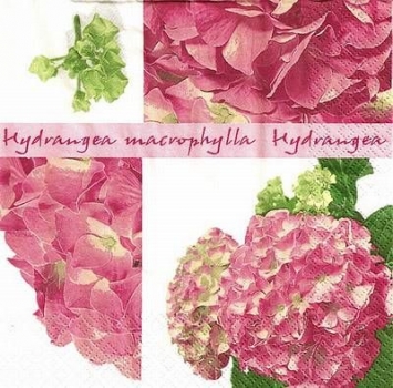 s9z10790 - Hydrangea - Servietten - Packung - 20 Stück.