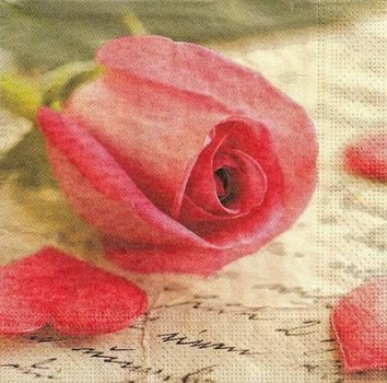 s9z10861 -  Rose - Servietten - Packung - 20 Stück