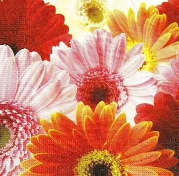 s9z10862 - Gerbera - Napkins - Package - 20 pcs..