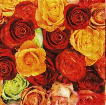 s9z10872 - Rosen - Napkins - Package - 20 pcs.