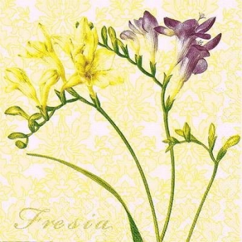 s9z10880 - Fresia - yellow - Servietten - Packung - 20 Stück.