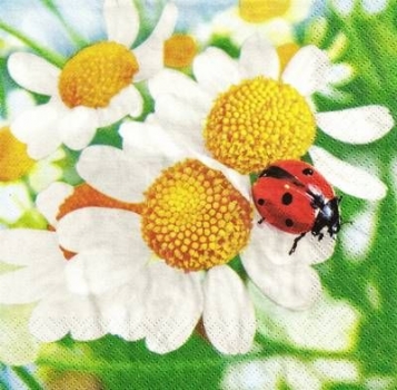 s9z10901 - Coccinelle - Napkins - Package - 20 pcs.