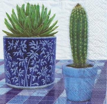 s9z10920 - Blue Cactus - Servietten - Packung - 20 Stück.
