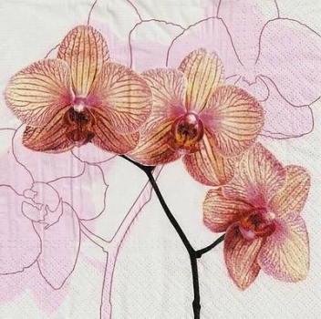 s9z10967 - Orchid - rosa – Servietten – Packung  20 Stück