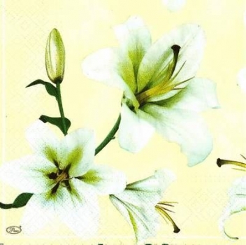 s9z10970 - White Lily - cream - Napkins - Package - 20 pcs..